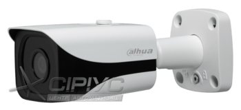 Dahua Technology IPC-HFW4800EP, 4K