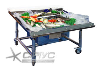 Холодильна вітрина для морепродуктів Вірджинія ICE — Технохолод